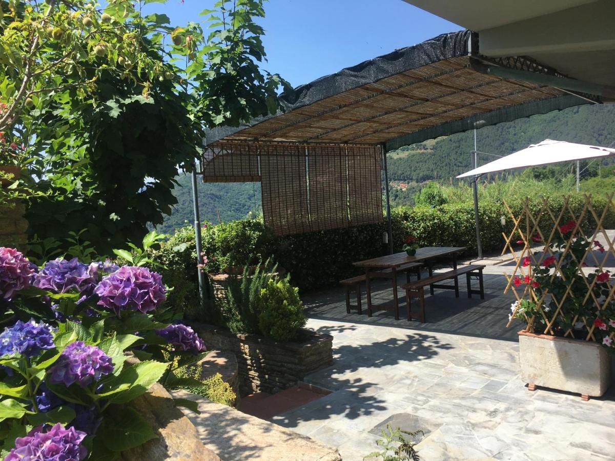 Gelsomini Villa Massa  Exterior foto